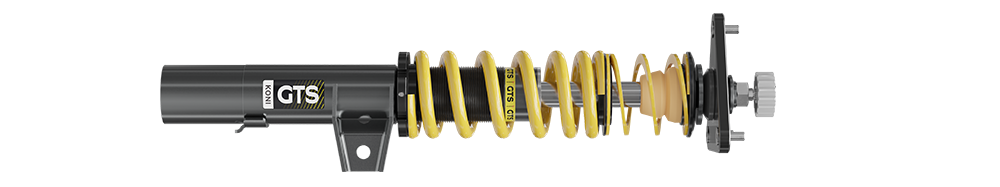 GTS Coilover
